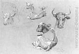 Famous Cows Paintings - Studies of Cows and Calves
